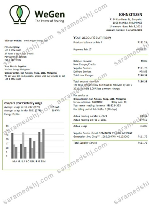 Philippines WeGen Energy Philippines utility bill template in Word and PDF format